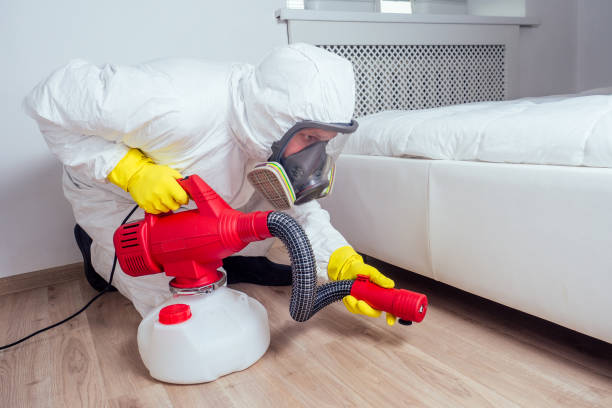 Best Pest Prevention Services  in Northwest Harbor, NY